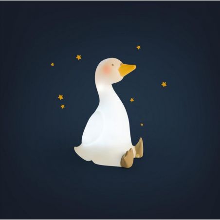 VEILLEUSE CYGNE (USB) LA PETITE ECOLE DE DANSE