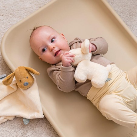 HOCHET CHIEN CHARLIE