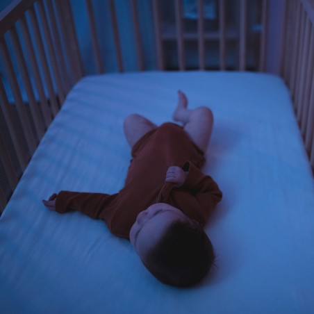 PROJECTEUR D'ETOILES CHAMPIGNON ROSE