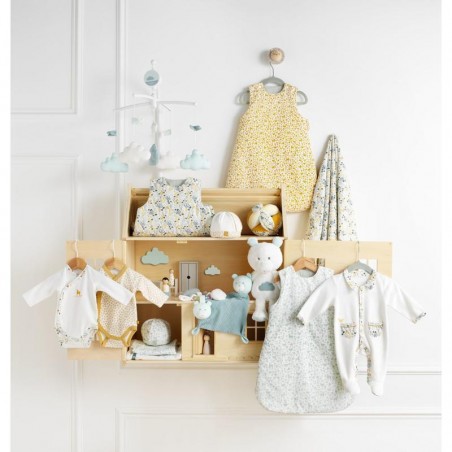 LOT DE 3 BODIES NAISSANCE  PROMENONS NOUS