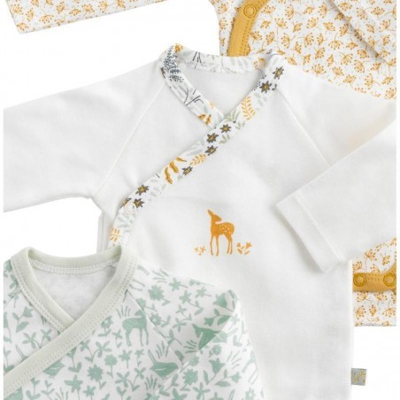 LOT DE 3 BODIES NAISSANCE  PROMENONS NOUS