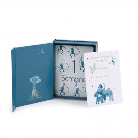 CARTES MES 12 PREMIERS MOIS SOUS MON BAOBAB (30 CARTES)